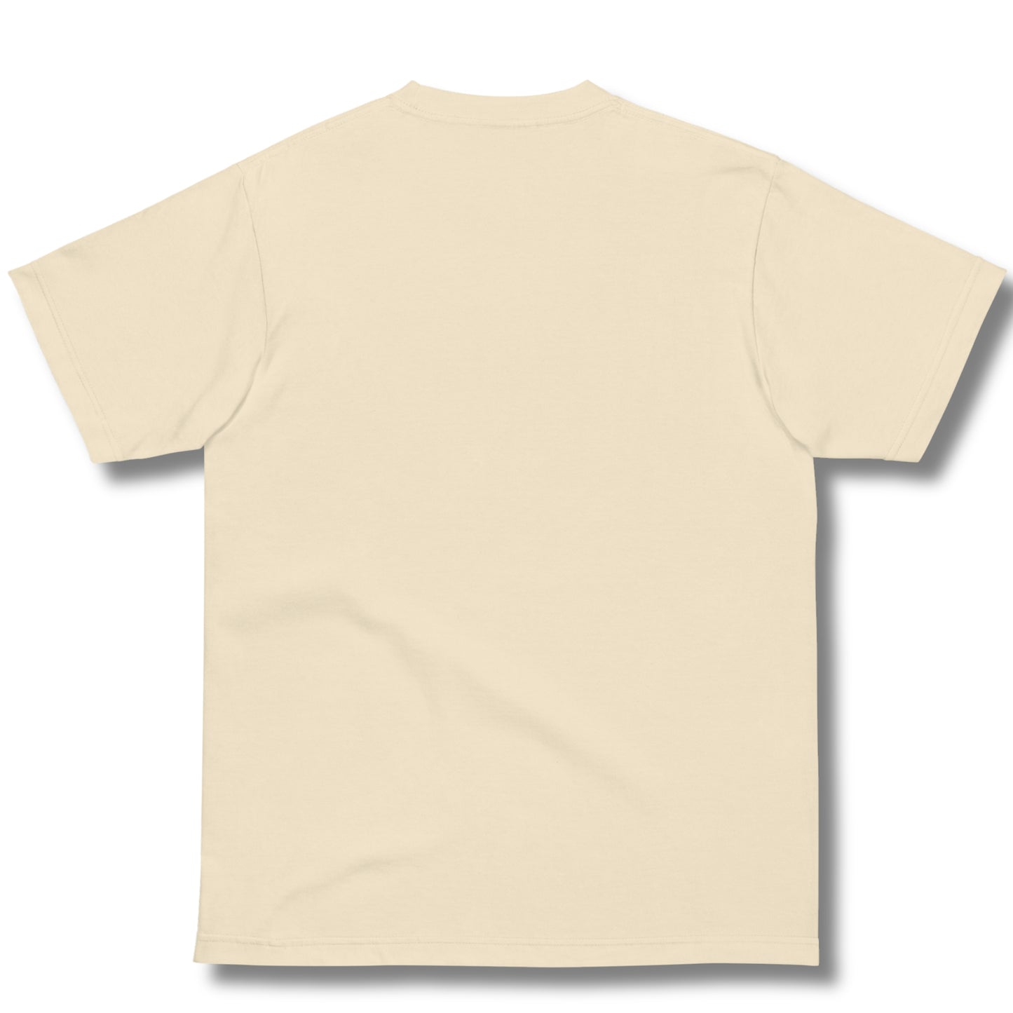 Tシャツ-FINE ART | スタンダードミドルウェイトTシャツ | 男女兼用 | ユニセックス | Soft changes are still genuine changes