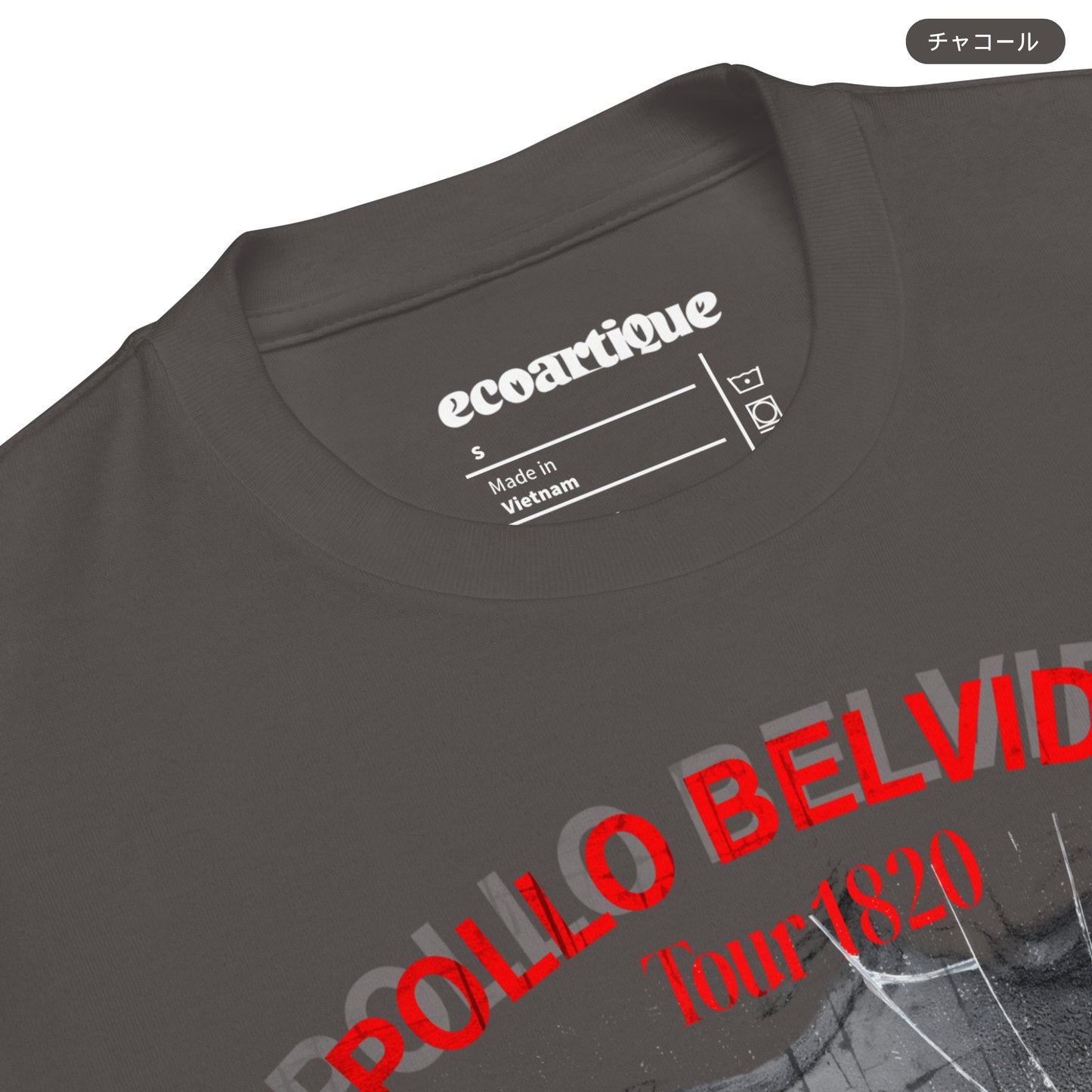 Tシャツ-DRY VINTAGE:Retro Souvenir | スタンダードミドルウェイトTシャツ | 男女兼用 | ユニセックス | APOLLO BELVIDERE