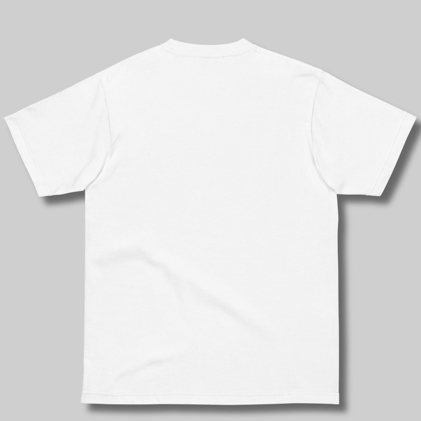 Tシャツ-FINE ART | スタンダードミドルウェイトTシャツ | 男女兼用 | ユニセックス | Soft changes are still genuine changes
