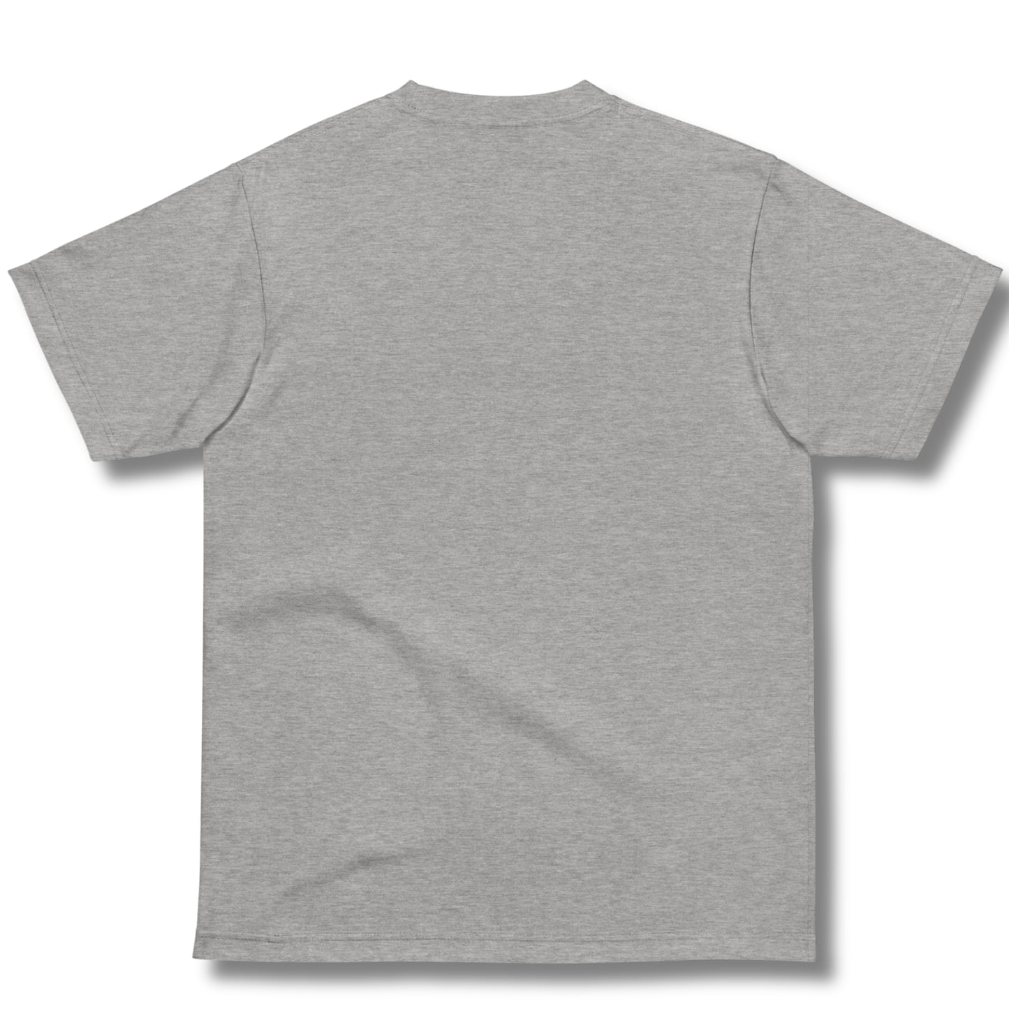 Tシャツ-FINE ART | スタンダードミドルウェイトTシャツ | 男女兼用 | ユニセックス | Soft changes are still genuine changes