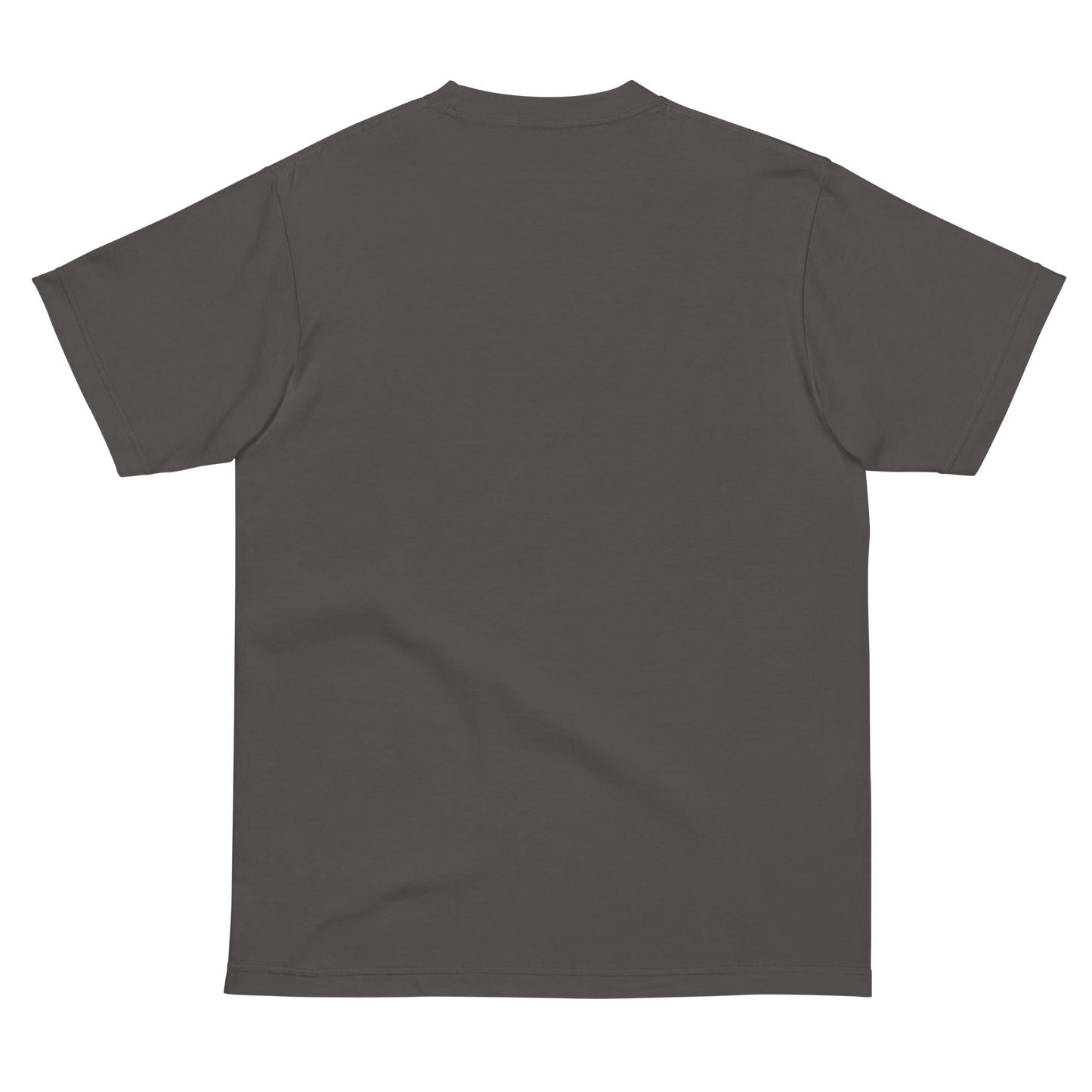 Tシャツ-FINE ART | スタンダードミドルウェイトTシャツ | 男女兼用 | ユニセックス | Gilded Breath