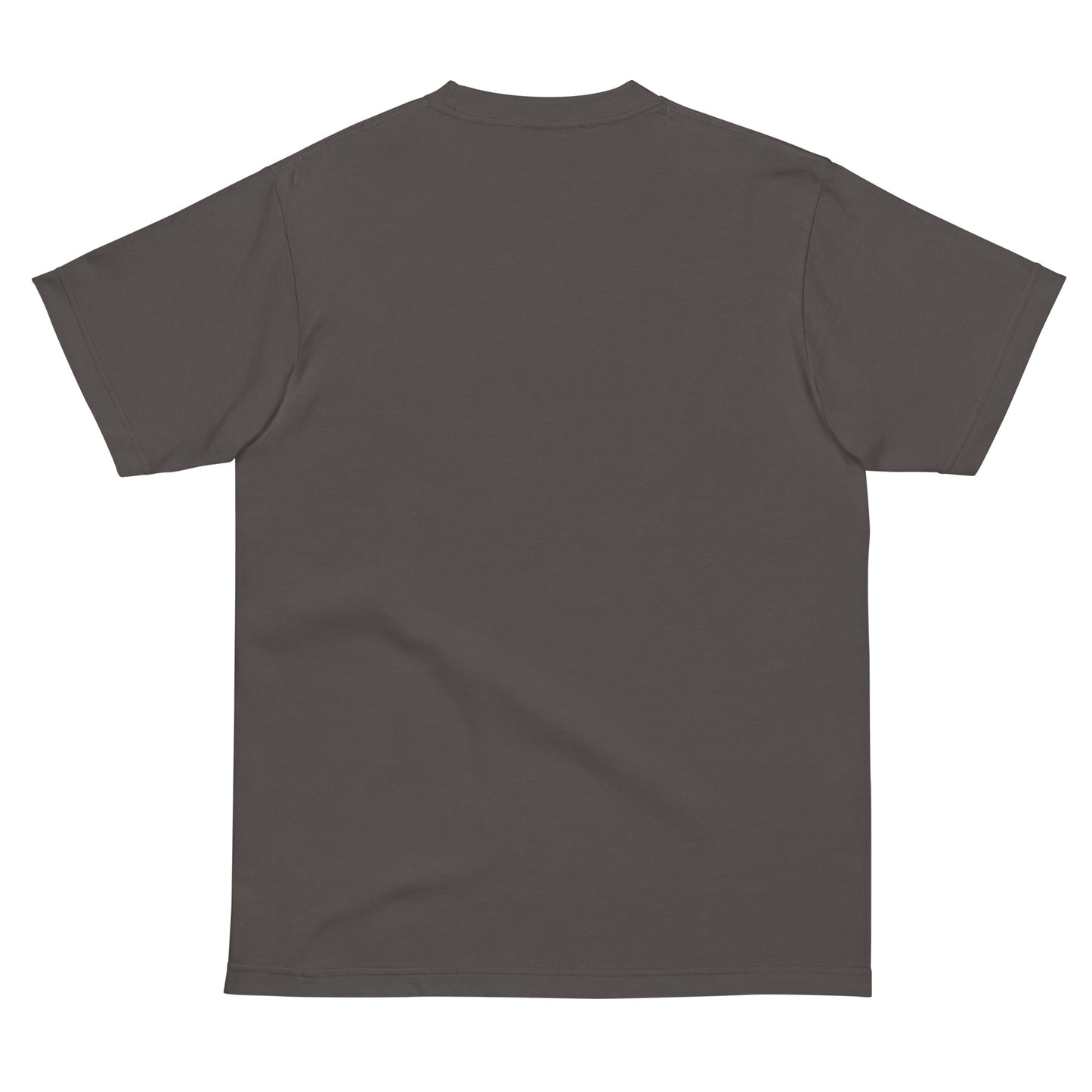 Tシャツ-FINE ART | スタンダードミドルウェイトTシャツ | 男女兼用 | ユニセックス | Renaissance Woman