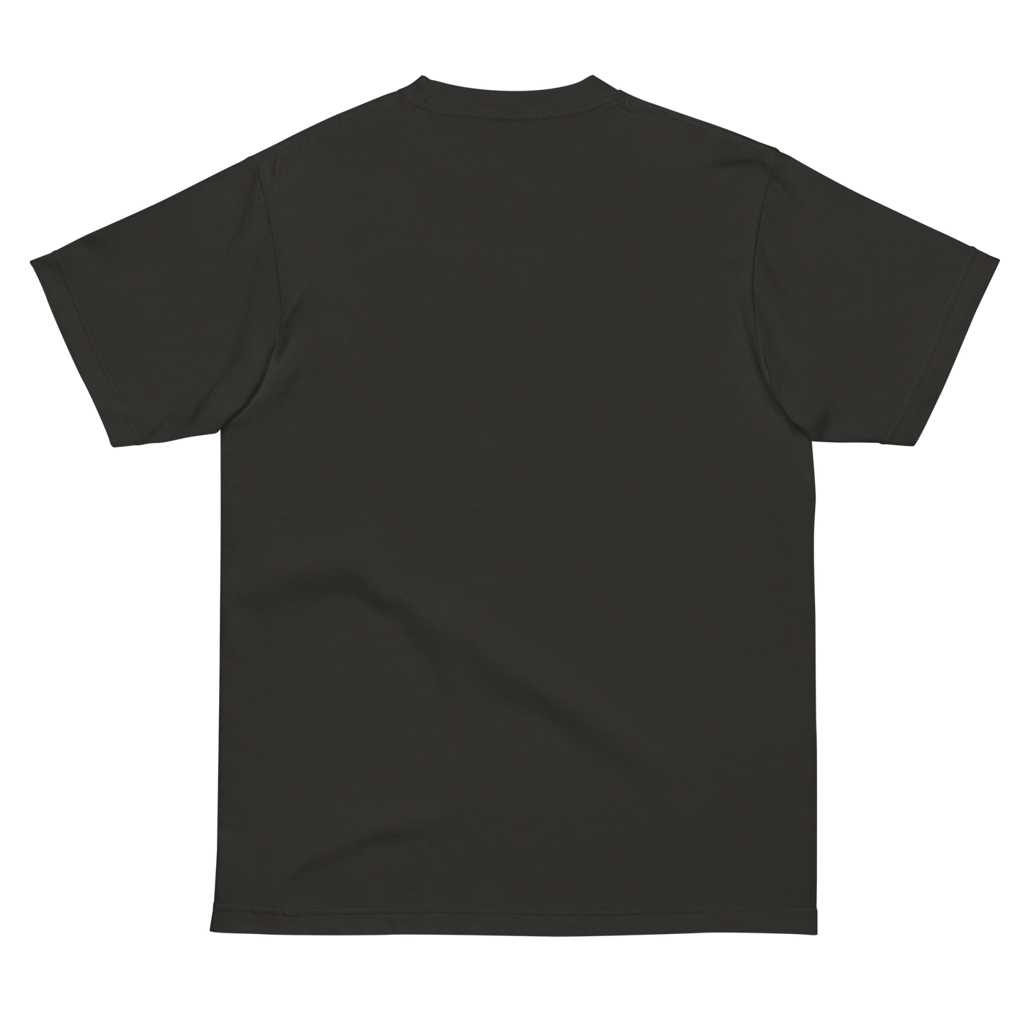 Tシャツ-FINE ART | スタンダードミドルウェイトTシャツ | 男女兼用 | ユニセックス | Gilded Breath