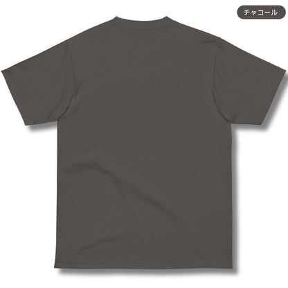 Tシャツ-DRY VINTAGE:Retro Souvenir  | スタンダードミドルウェイトTシャツ | 男女兼用 | ユニセックス |TRAVELERS THROUGH AGES