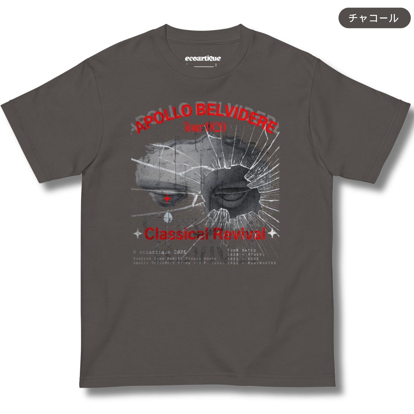 Tシャツ-DRY VINTAGE:Retro Souvenir  | スタンダードミドルウェイトTシャツ | 男女兼用 | ユニセックス | APOLLO BELVIDERE