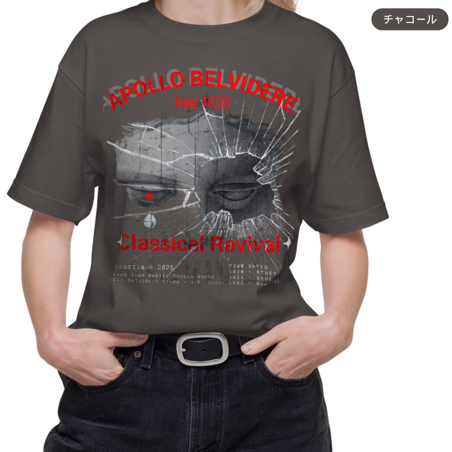 Tシャツ-DRY VINTAGE:Retro Souvenir  | スタンダードミドルウェイトTシャツ | 男女兼用 | ユニセックス | APOLLO BELVIDERE