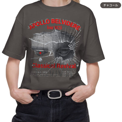 Tシャツ-DRY VINTAGE:Retro Souvenir  | スタンダードミドルウェイトTシャツ | 男女兼用 | ユニセックス | APOLLO BELVIDERE