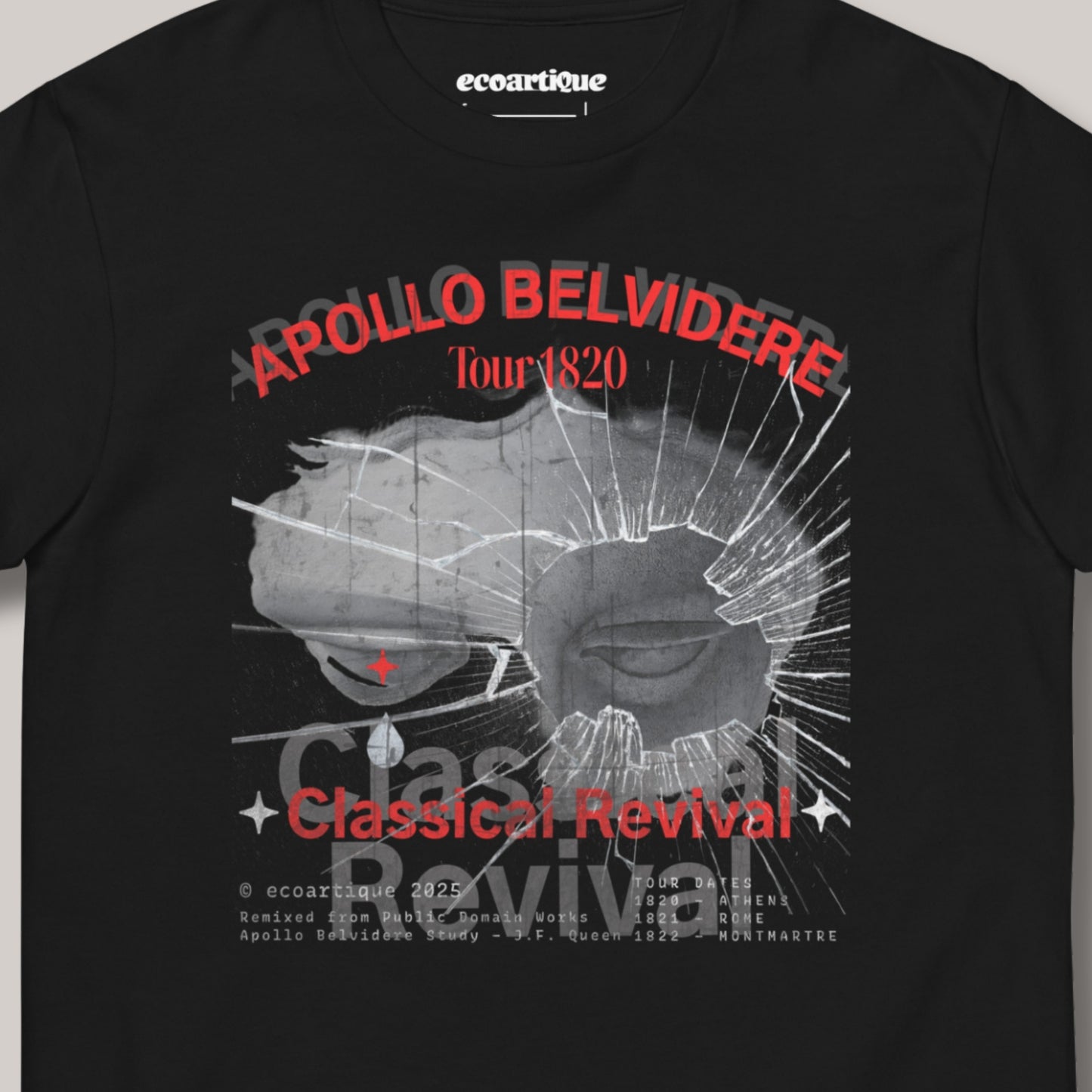 Tシャツ-DRY VINTAGE:Retro Souvenir  | スタンダードミドルウェイトTシャツ | 男女兼用 | ユニセックス | APOLLO BELVIDERE