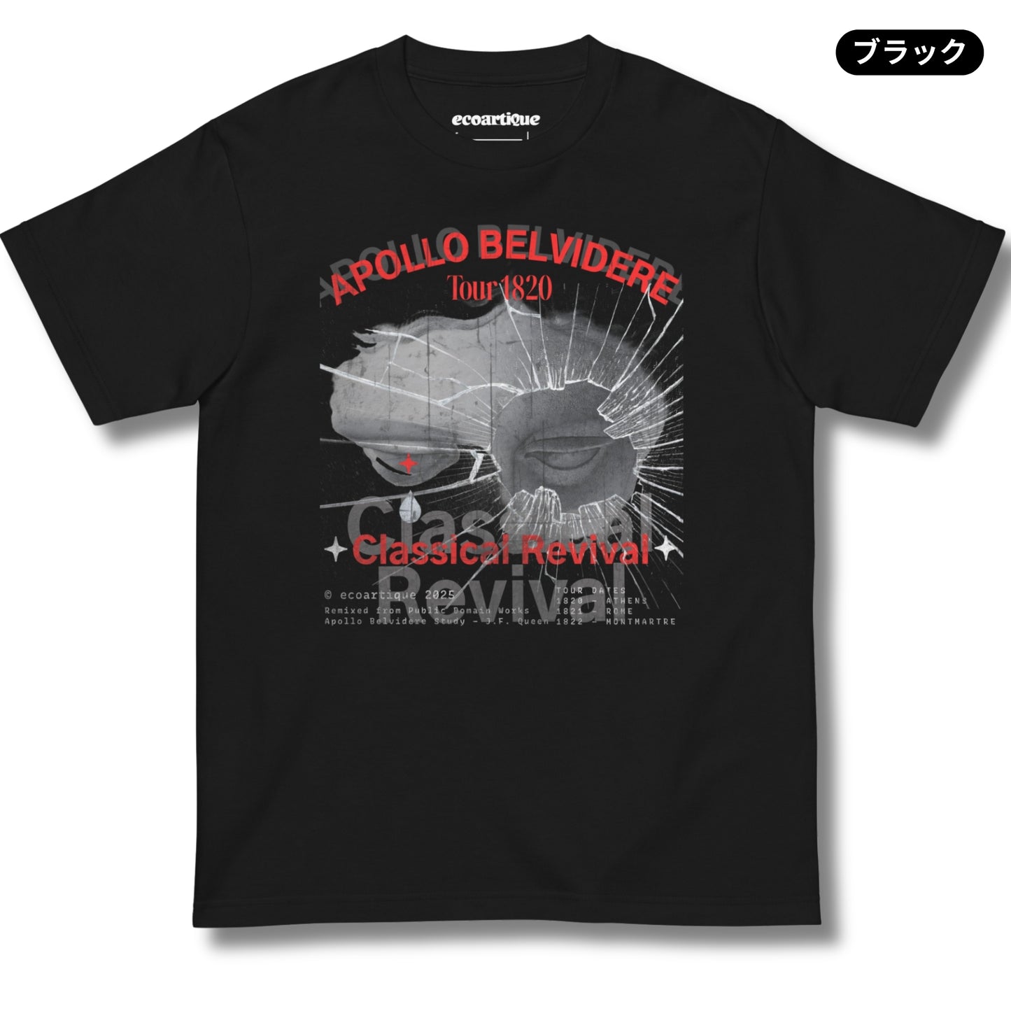 Tシャツ-DRY VINTAGE:Retro Souvenir  | スタンダードミドルウェイトTシャツ | 男女兼用 | ユニセックス | APOLLO BELVIDERE
