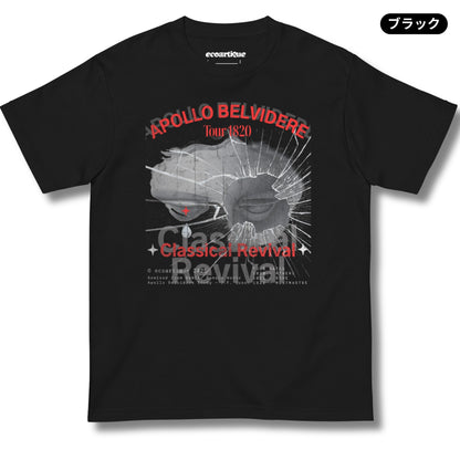 Tシャツ-DRY VINTAGE:Retro Souvenir  | スタンダードミドルウェイトTシャツ | 男女兼用 | ユニセックス | APOLLO BELVIDERE