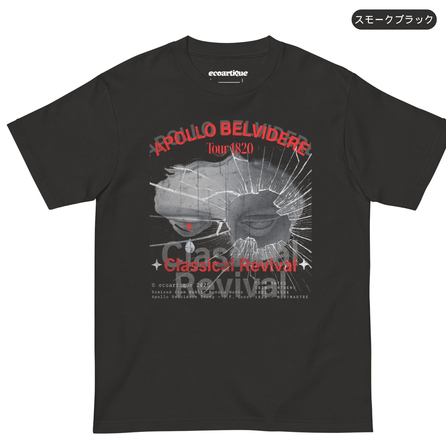 Tシャツ-DRY VINTAGE:Retro Souvenir  | スタンダードミドルウェイトTシャツ | 男女兼用 | ユニセックス | APOLLO BELVIDERE