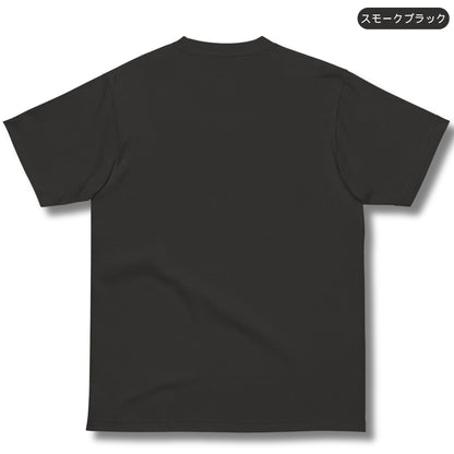Tシャツ-DRY VINTAGE:Retro Souvenir  | スタンダードミドルウェイトTシャツ | 男女兼用 | ユニセックス | APOLLO BELVIDERE