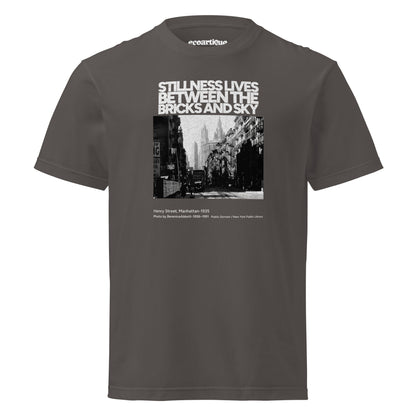 Tシャツ | スタンダードミドルウェイトTシャツ | 男女兼用 | ユニセックス | Stillness lives between the bricks and sky-smoky black
