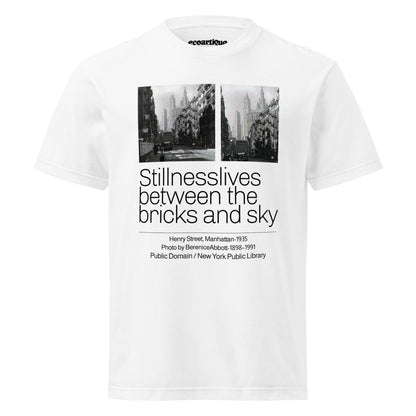 Tシャツ | スタンダードミドルウェイトTシャツ | 男女兼用 | ユニセックス | Stillness lives between the bricks and sky-white